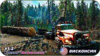 #1.2 Контракт 