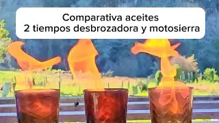 Comparativa de aceites 2 tiempos para desbrozadora o motosierras