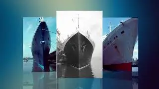 A Collection of Ship Bows #subscribe #ship