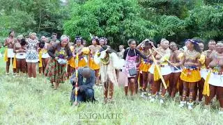 Traditional Zulu dance Part 1