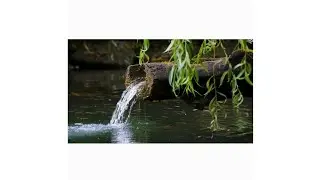 Village nature with extraordinary visuals