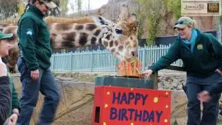 Happy Birthday Hummer!