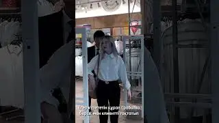 Найдите вакансию в inDrive.Работа! #алматы #shortsvideo #shortsfeed #астана #вакансии #работа