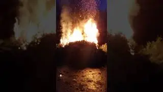 Tannenbaum verbrennen in Birstein
