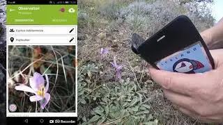 J'ai testé Pl@ntnet au Pic des Mouches