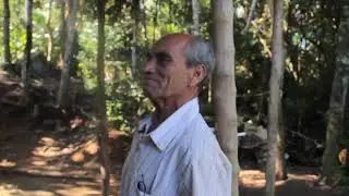 CORRA PARA O MATO - Episódio 02 -. Praia Grande da Cajaíba: maestria caiçara no manejo sustentável