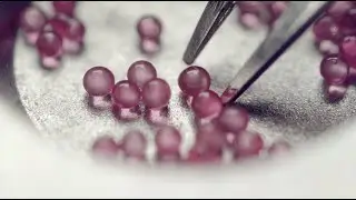 Made in Glashütte: 9 Bonding the escapement