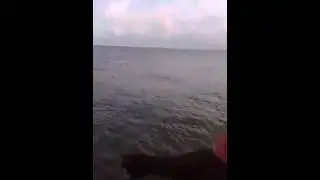 Strike Kakap Putih Casting Di Pinggiran Pantai Kota Bulukumba Sulawesi