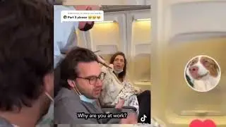 Alessia Vaesenn goes viral with breastfeeding cat on plane videos /Alessia Vaesenn video second Part