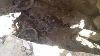 Женское погребение в одежде в каменном ящике