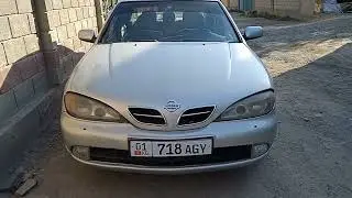 Full Painting / Nissan Primera P11