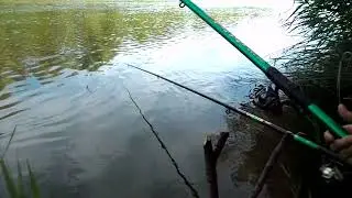 Рыбалка на Медведице 17 08 24 г