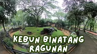 Kebun Binatang RAGUNAN | Jakarta Selatan