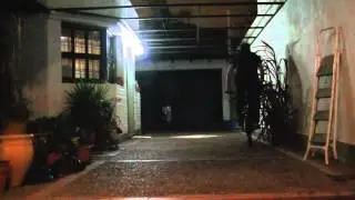 pracaticando tailwhip