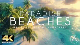 PARADISE BEACHES IN 4K DRONE FOOTAGE (ULTRA HD) - Beautiful Beach Landscapes Footage UHD