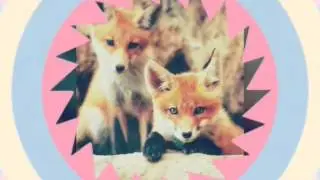 Новая  заставка для видео