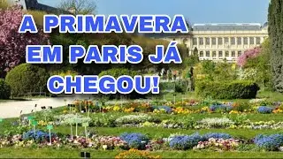 COMEÇOU A PRIMAVERA EM PARIS / DICAS