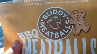 BBQ MEATBALLS For Dog's 8/20/24