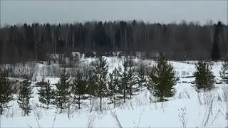 даль великая