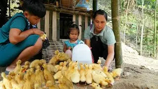 Build a simple duck coop with bamboo | Single mom builds a farm