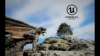 Unreal Engine : Dragon with Create&fixing Animation tools, and Root Motion Setup.