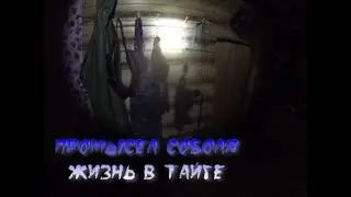 Промысел соболя в тайге. А "Тунгус 600"прятно удивляет. Пилим и топчем дороги.