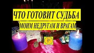 Таро Онлайн Что готовит Судьба моим Недругам и Врагам? от 