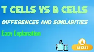 T Cells vs B Cells; Differences and Similarities between T Cells and B Cells.