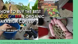🇨🇴 Colombian Arabica Coffee; Premium coffee harvest & expert tips on buying, brewing the best coffee