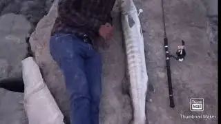 Fishing Trif to Abu Dhabi. Hameem. ICAD  Musaffah