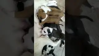 2 недели. Любовь и еда.