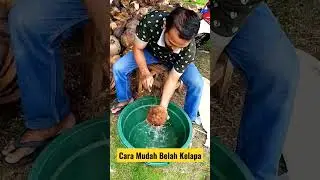 Cara mudah belah kelapa #shorts #short #kelapa #belahkelapa