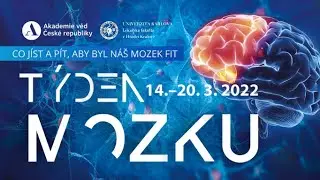 Co jíst a pít, aby byl náš mozek fit