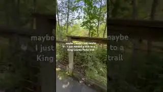 maybe I just needed a trail