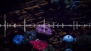 HURRICANE-Jukx & Jetason Remix