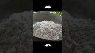 cooking oxtail & Pig tail