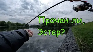 Да, что это за ХРЕНЬ. Ловля на Эстер. Рыбалка 2023. Наноджиг. Ультралайт.
