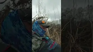 р. Лютога...
