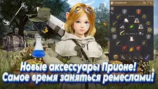 Black Desert. Новая бижутерия Прионе и инструменты Маноса