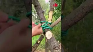 ASMR girl survival camping p2 