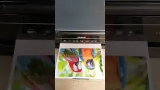 Impressão de foto na Epson