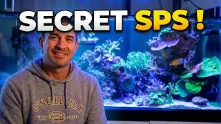 Visite d'un bac SPS : secrets de réussite et matériel de François