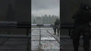 DayZ RP 