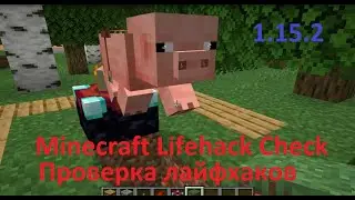 Проверка лайфхаков из Тик Тока про майнкрафт! 1.14+