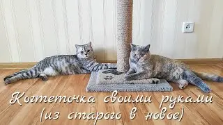 Когтеточка своими руками (из старого в новое) DIY