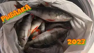 Отличная рыбалка 2023. Рыбалка на Онежском озере 2023. Подлёдный клёв окуня.