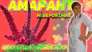 Amaranth - incredible healing properties!
