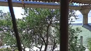Александр Гаврилюк  прямой эфир