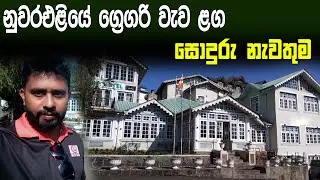 නුවරඑළිය ග්‍රෙගරි වැව ළගින් නවතින්න සොදුරු නැවතුම | nuwara eliya | alpine hotel