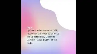 Update DNS Records